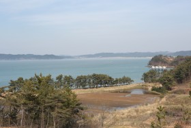 태배전망대에서 바라보는 해상낚시 공원